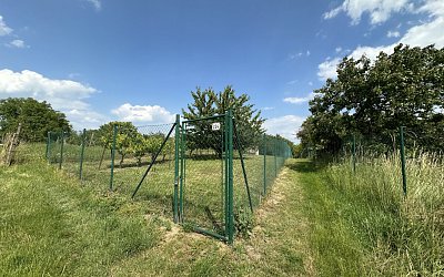 Zahrada Mikulov 2064