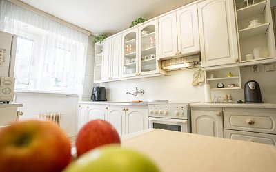 Byt 2+1 Mikulov 2194